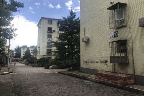 南廠住宅 中區(qū) 優(yōu)點 不足,南廠住宅 中區(qū) 怎么樣,南廠住宅 中區(qū) 周邊房產(chǎn)中介經(jīng)紀人評價